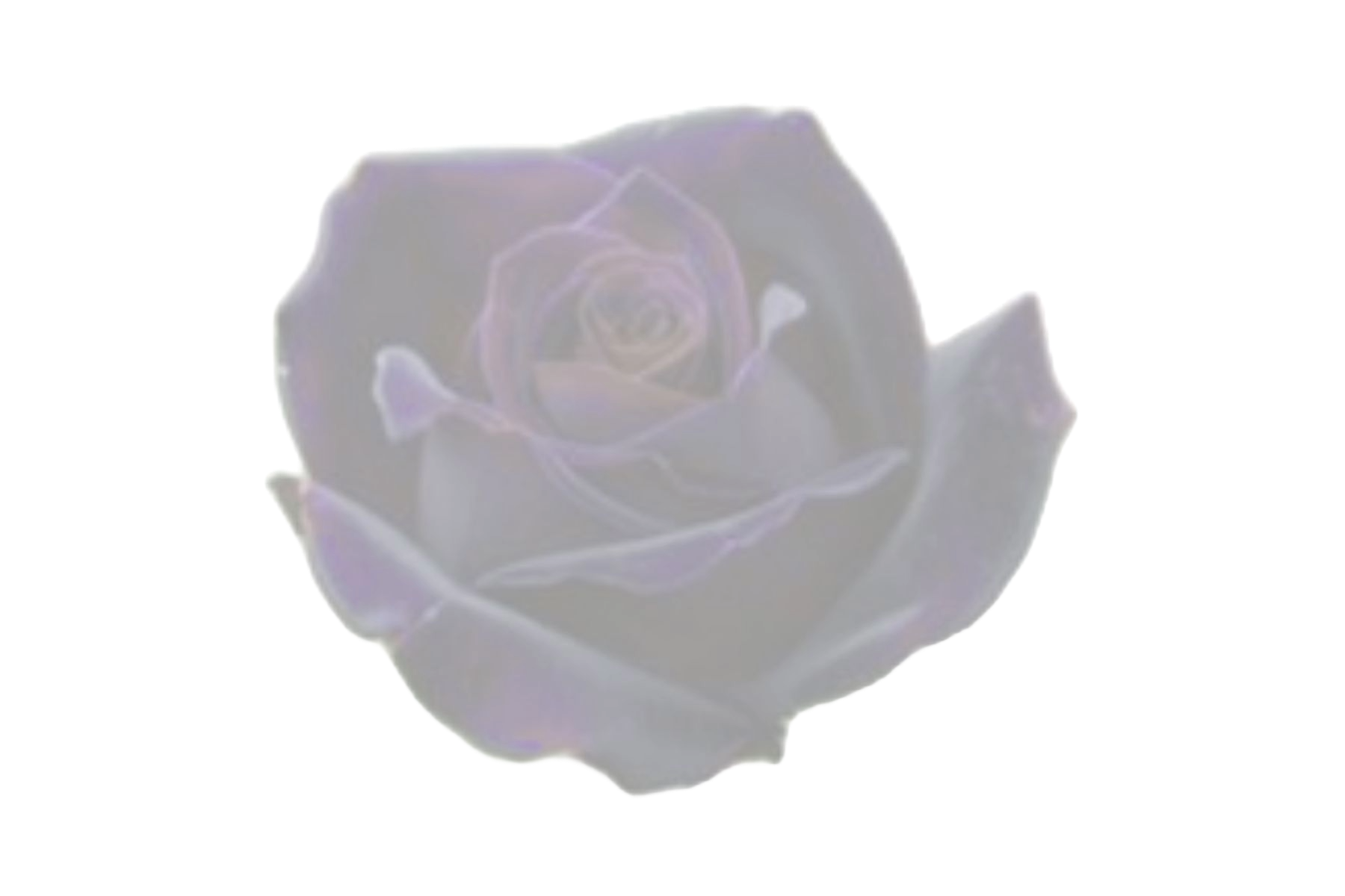 Flower top right